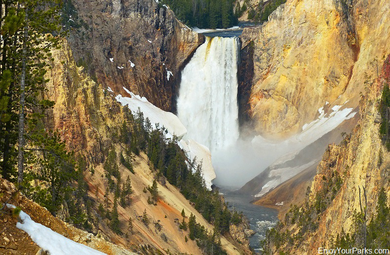 Lower Falls, Grand Canyon of the Yellowstone, Yellowstone National Park Montana