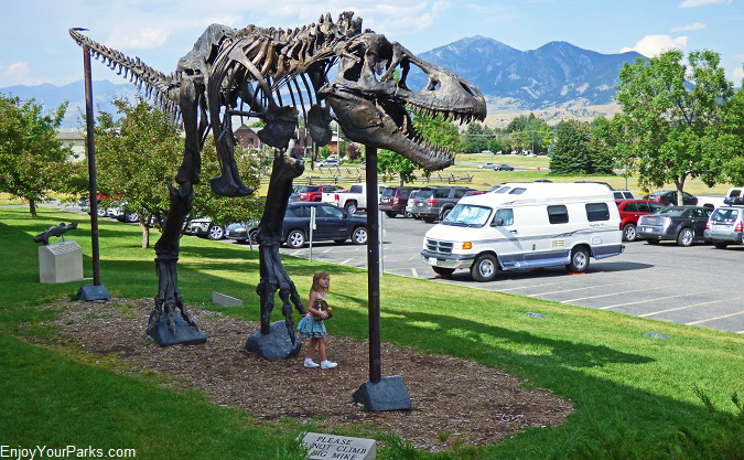 Museum of the Rockies, Bozeman Montana