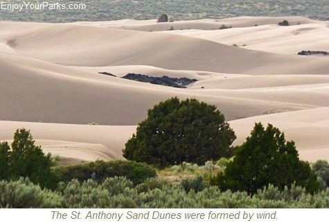 How Are Sand Dunes Formed?  Sand dunes are basically a big mound of sand that formed by the wind, usually in the desert or a beach, but occasionally forms in non-typical areas such as the St. Anthony Sand Dunes Recreation Area.  Dunes form when the wind blows grains of sand into sheltered areas behind obstacles.  As the grains of sand accumulate, the dunes will grow.    Every dune has what is known as the "windward" side, which is the side where the wind blows and pushes material up.  The other side of each dune is known as the "slipface", which is the side that does not get wind.    There are several shapes a sand dune can take.  A few of the named shapes are Crescentic Dunes, Linear Dunes, Star Dunes, Dome Dunes and Parabolic Dunes.  As you explore the St. Anthony Sand Dunes Recreation Area, see how many of these shapes of dunes you can find.