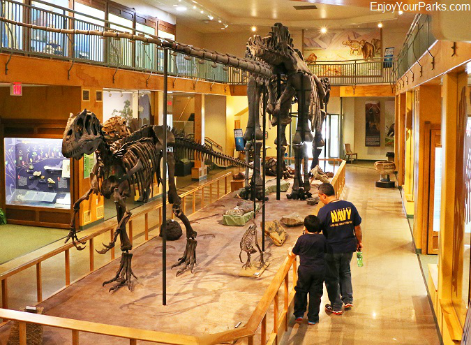 University of Wyoming Geological Museum in Laramie Wyoming