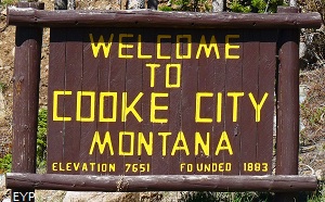 Cooke City Montana, Yellowstone National Park