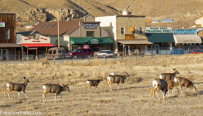 yellowstone gallery gardiner