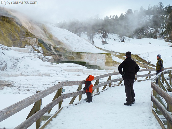 Mammoth Hot Springs, Winter In Yellowstone Park