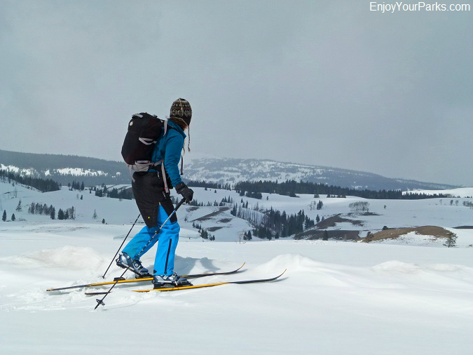Yellowstone Cross Country Skiing, Winter in Yellowstone National Park