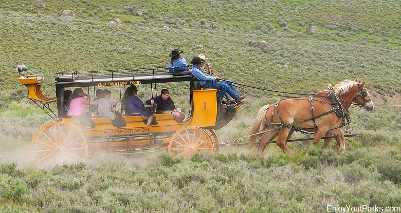 Roosevelt Lodge Stagecoach Ride, Yellowstone National Park