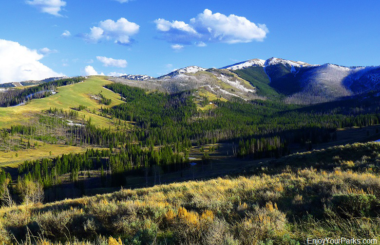 Mount washburn hotsell yellowstone national park