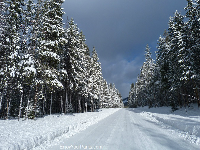 Winter in Yellowstone Park, Yellowstone National Park