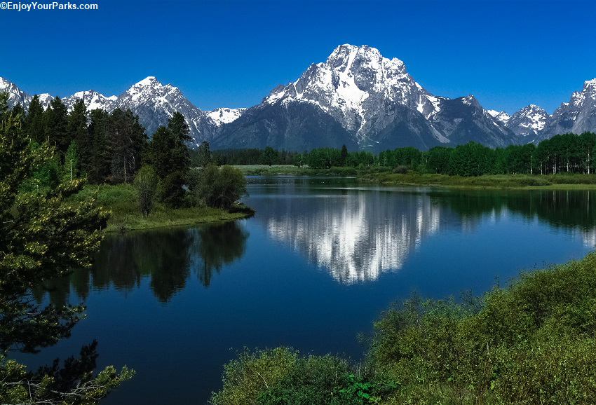 Oxbow Bend - Enjoy Your Parks