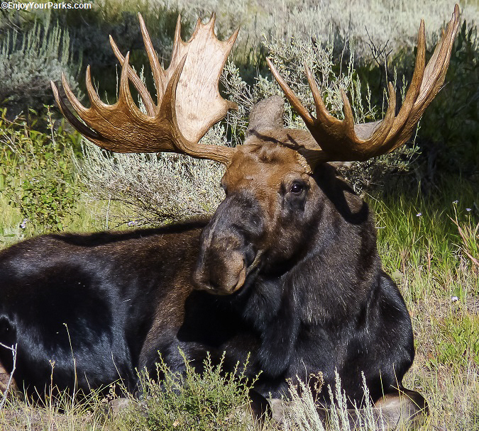 OXBOW BEND IMAGE 11