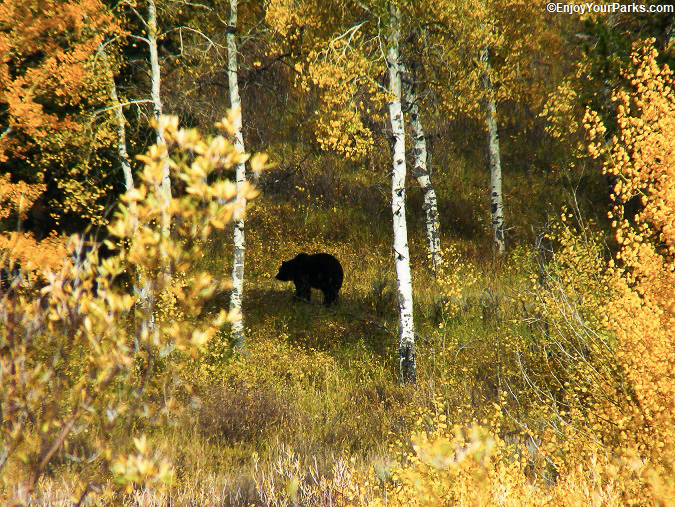 OXBOW BEND IMAGE 12