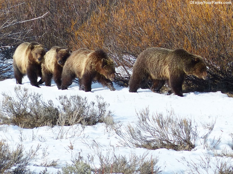 OXBOW BEND IMAGE 13