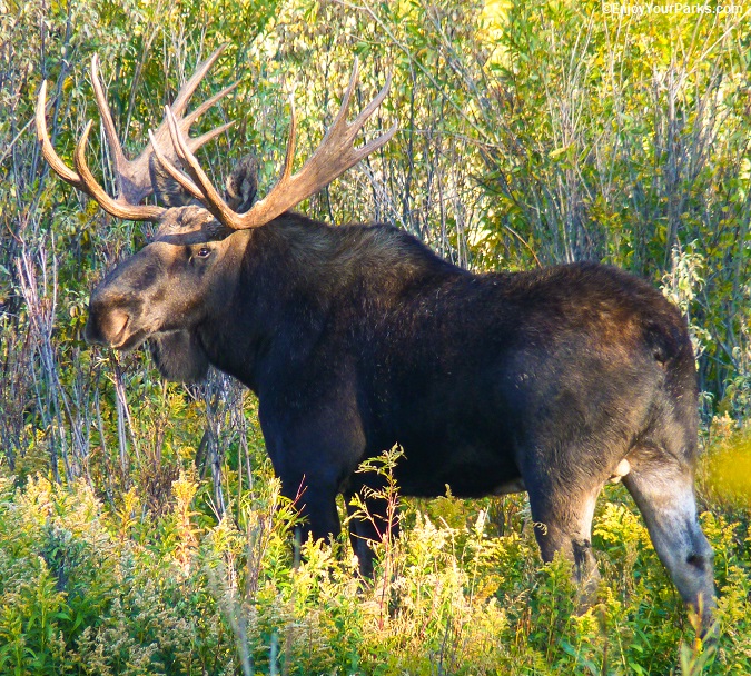 OXBOW BEND IMAGE 7