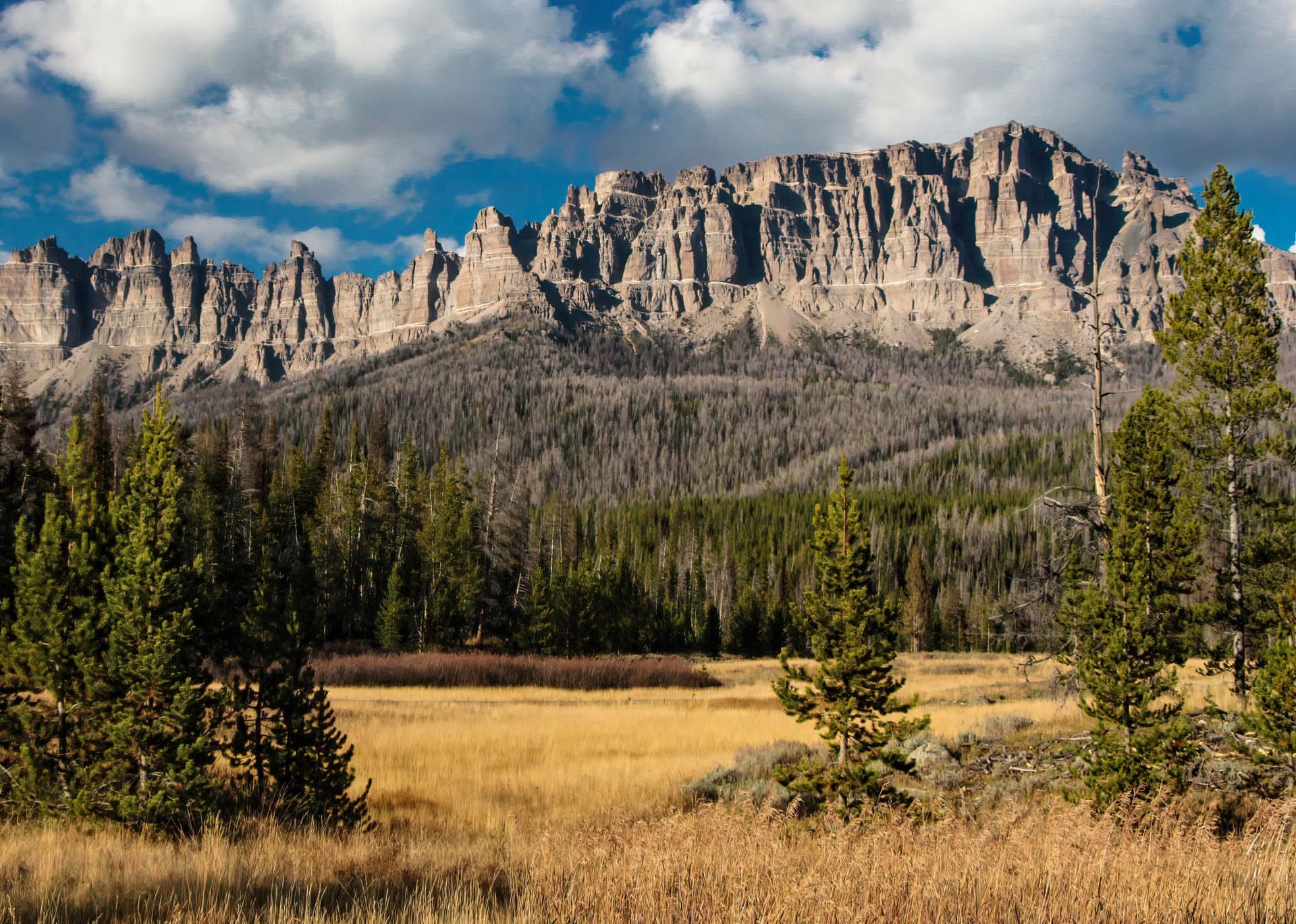 photographic tours wyoming